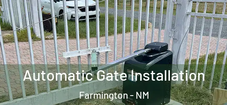 Automatic Gate Installation Farmington - NM