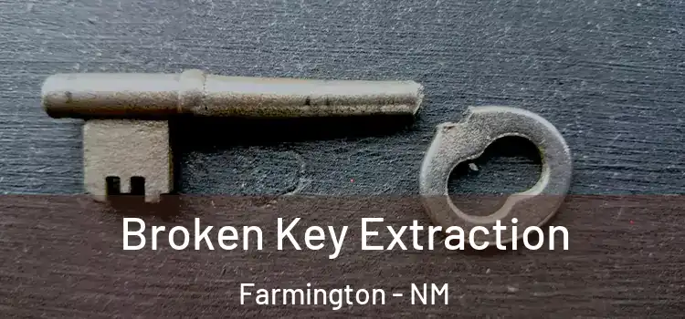  Broken Key Extraction Farmington - NM