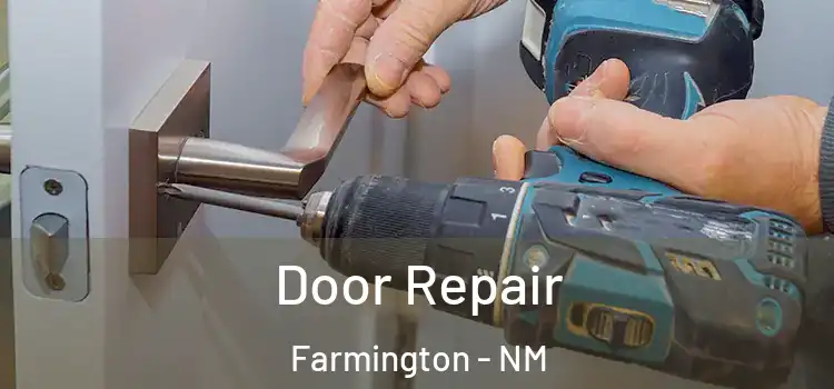 Door Repair Farmington - NM