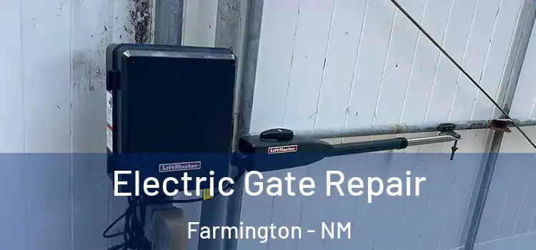Electric Gate Repair Farmington - NM