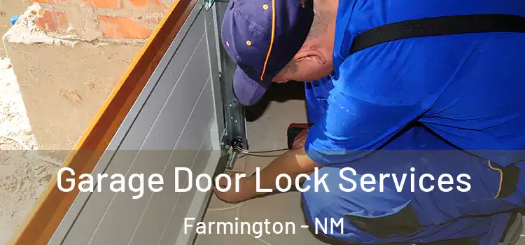 Garage Door Lock Services Farmington - NM