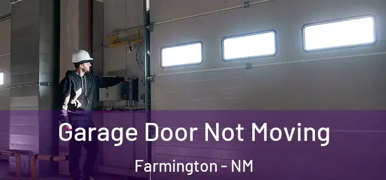  Garage Door Not Moving Farmington - NM