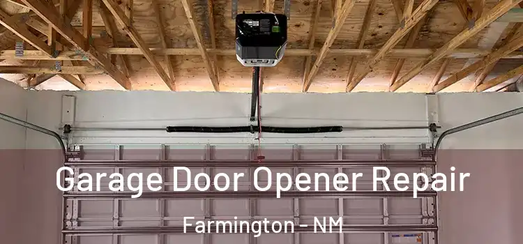  Garage Door Opener Repair Farmington - NM