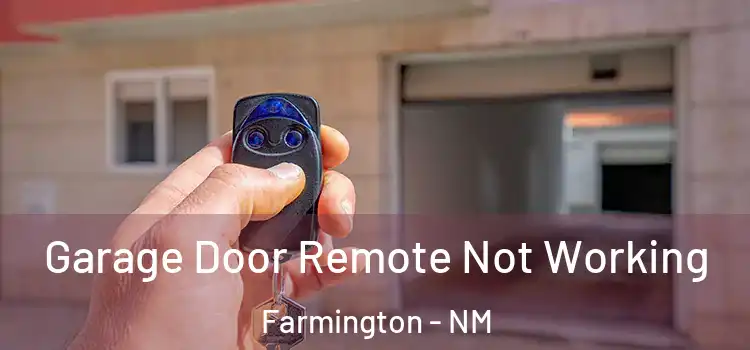  Garage Door Remote Not Working Farmington - NM