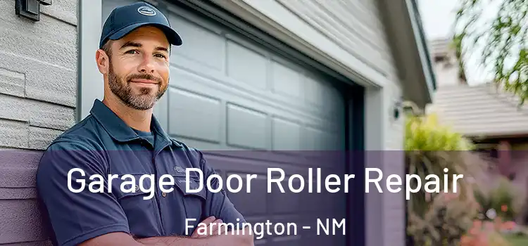  Garage Door Roller Repair Farmington - NM