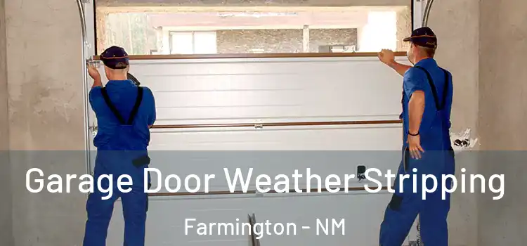  Garage Door Weather Stripping Farmington - NM