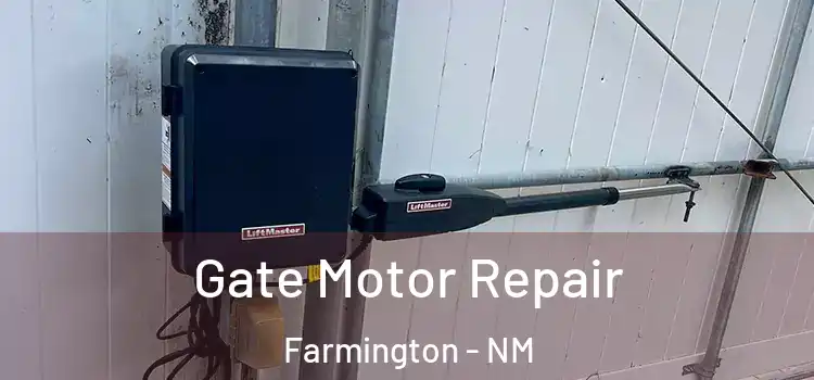 Gate Motor Repair Farmington - NM