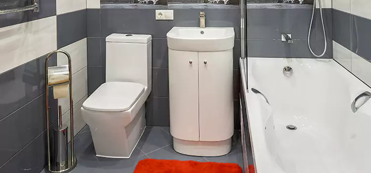 Hansgrohe Shaving Mirror Farmington