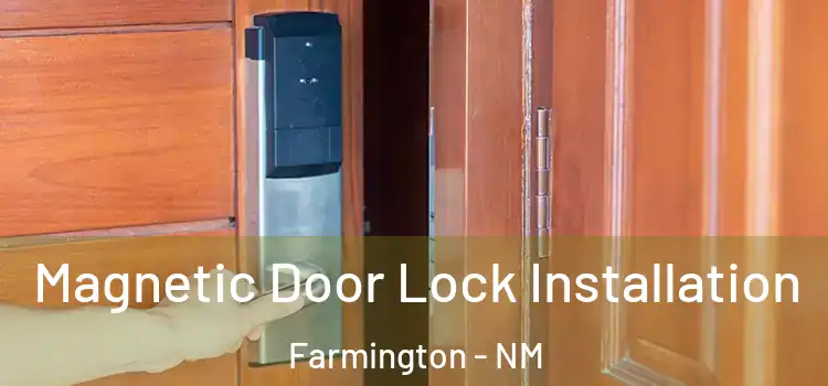  Magnetic Door Lock Installation Farmington - NM