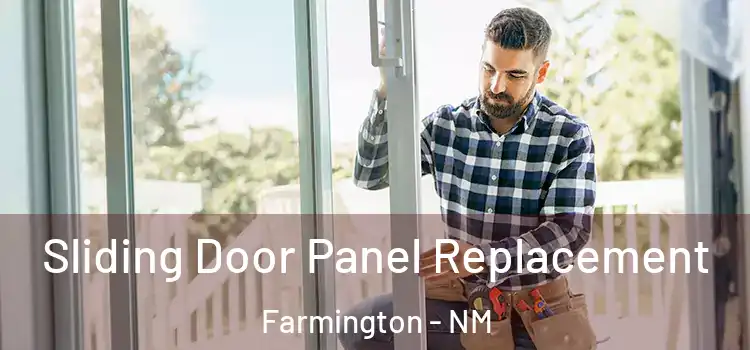  Sliding Door Panel Replacement Farmington - NM