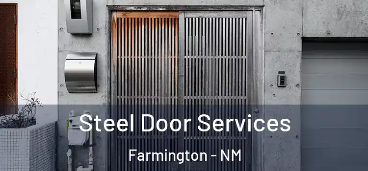 Steel Door Services Farmington - NM